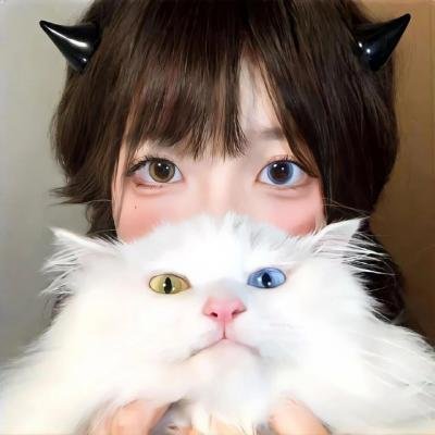 小鸡