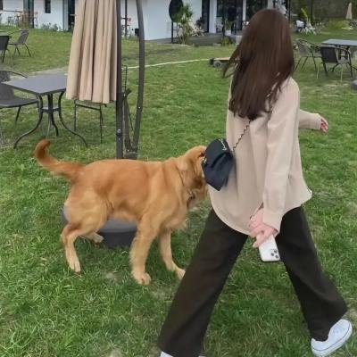 人欢马叫